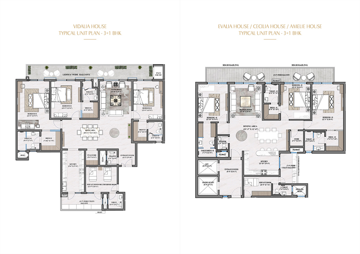 5+1 BHK floor plan preview (blurred)